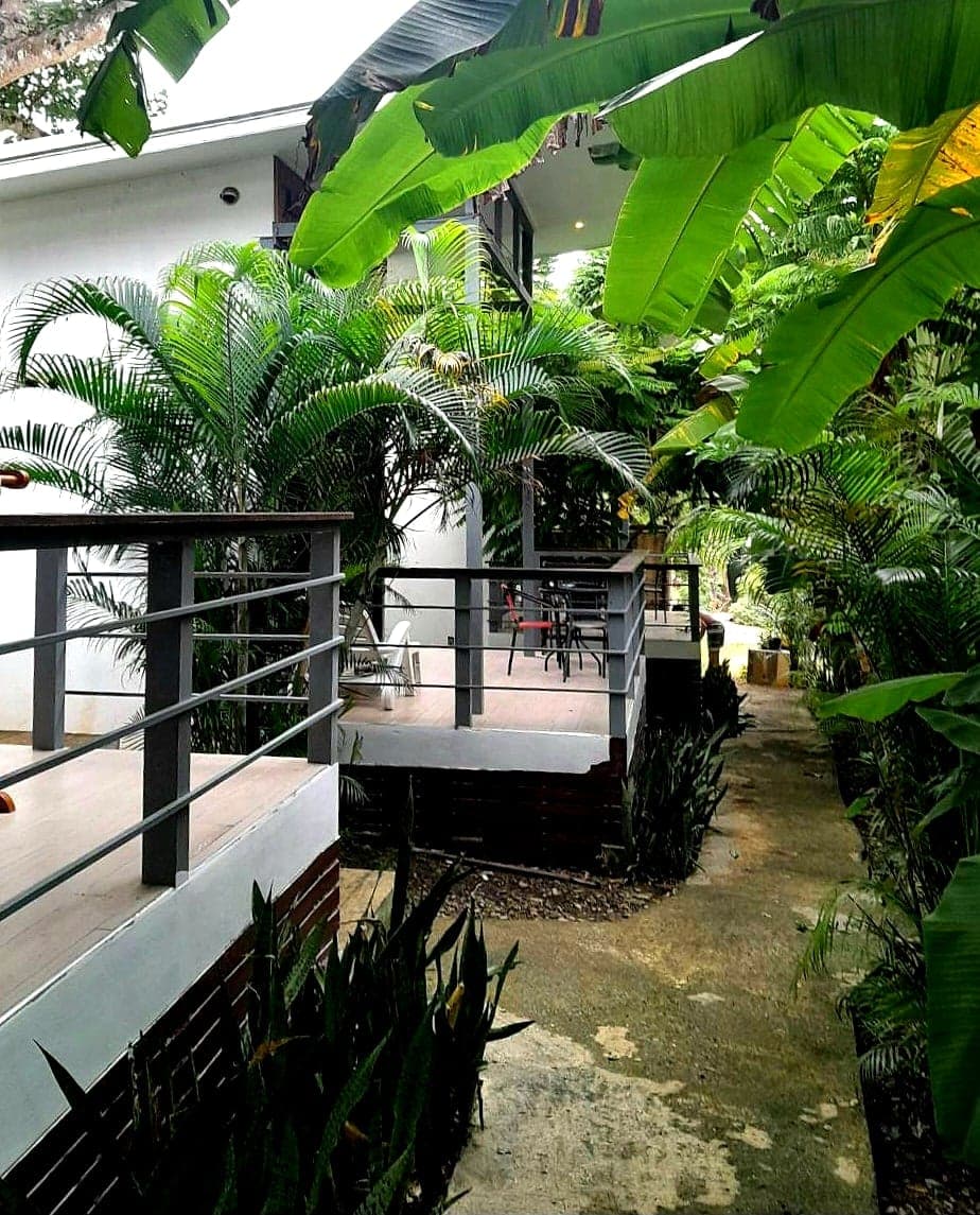 The path between the bungalows, running past their decks under palms and banana leaves