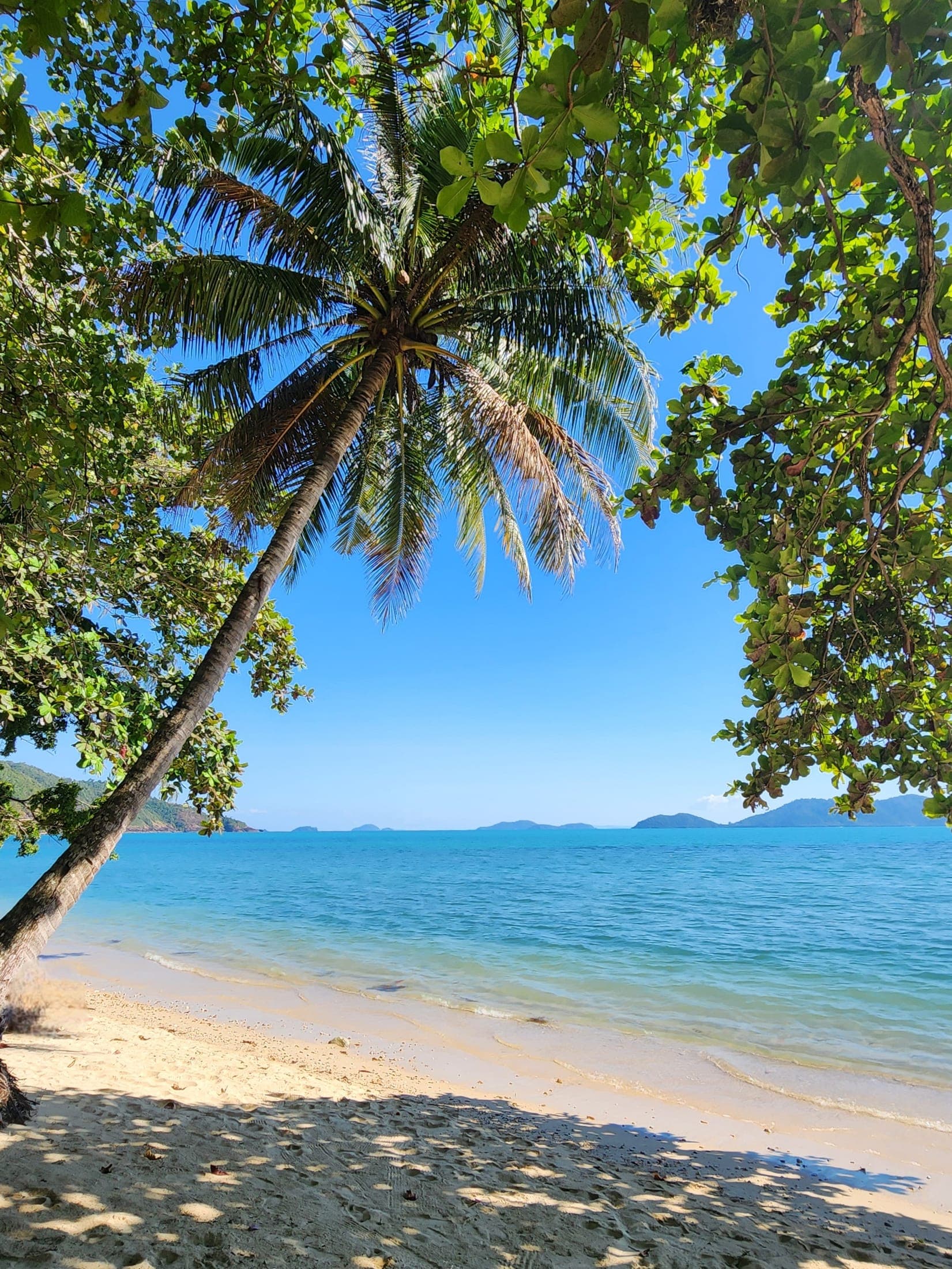 Palm trees over turquoise water on Koh Chang